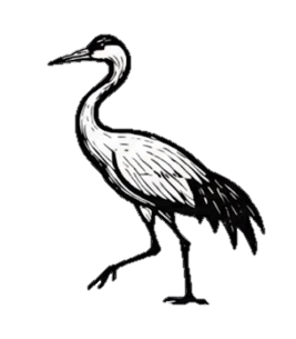 Sandhill Crane Supply Co.